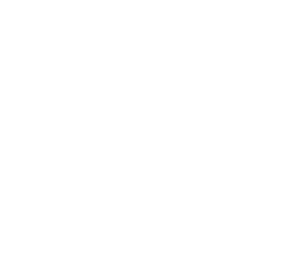 trip advisor excellence